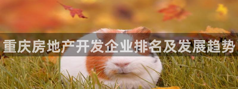 万向娱乐公司官网电话