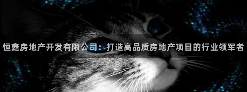 万向娱乐老板
