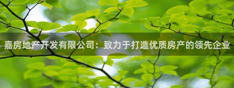 万向娱乐怎么样
