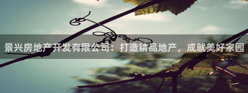 万向娱乐平台代理怎么样啊