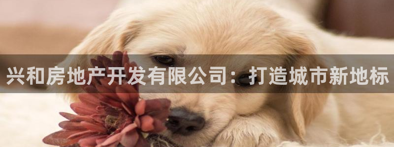 万向娱乐官网下载安卓