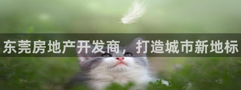 万向娱乐注册登录不了怎么办