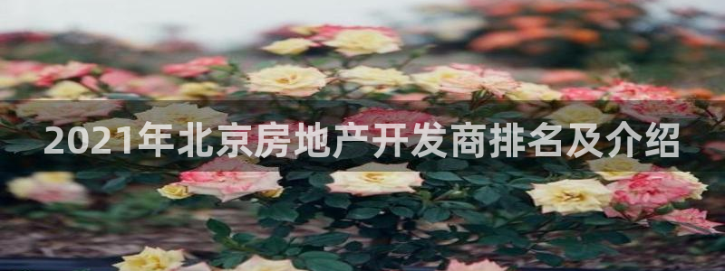 万向娱乐平台下载安装手机版