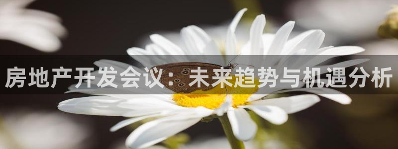 万向娱乐官网首页登录