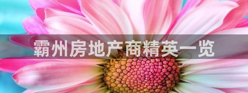 万向娱乐官网下载安装最新版