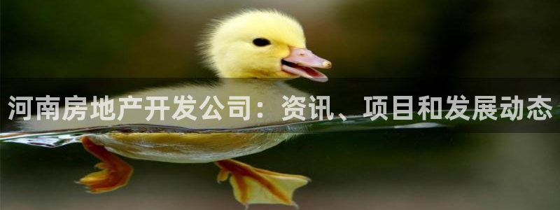 万向娱乐app下载官网