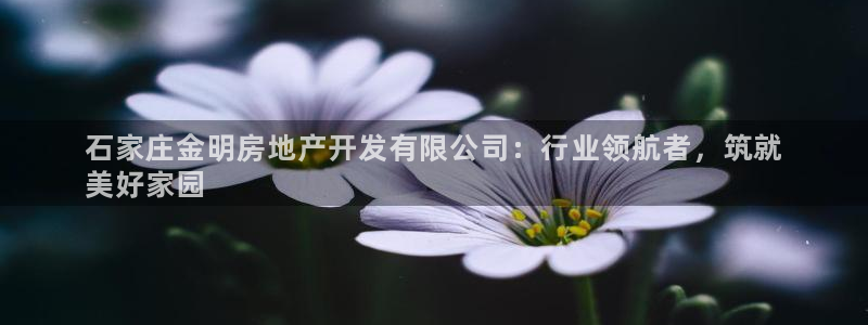 万向娱乐代理好看视频