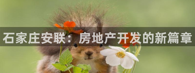 万向娱乐招商