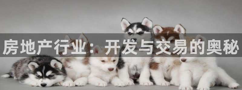 万向娱乐平台注册流程视频