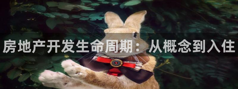 万向娱乐平台代理多少钱