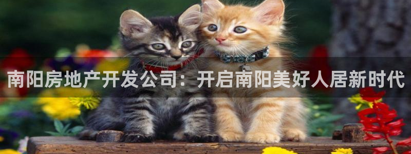 万向娱乐登陆官网入口