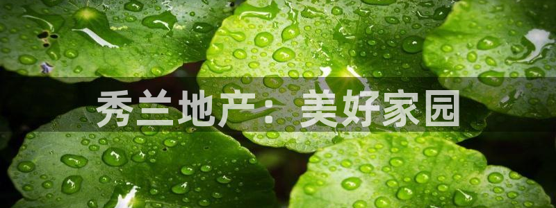 万向娱乐挂机