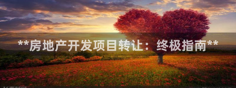 万向娱乐登陆官网入口