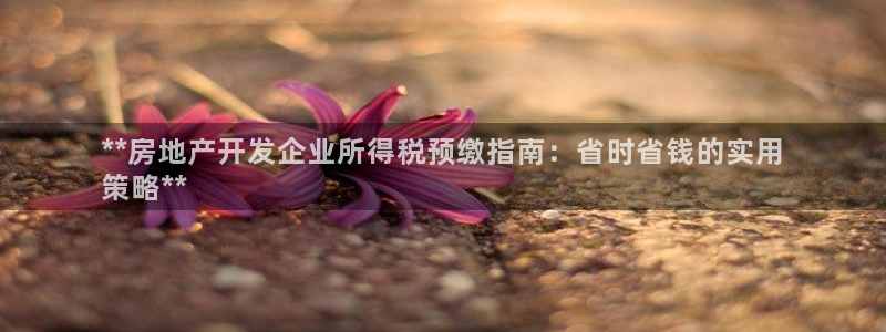 万向娱乐官网首页登录