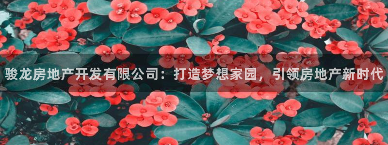 万向娱乐王者荣耀