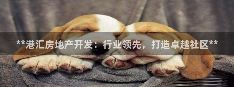 万向娱乐app下载官网