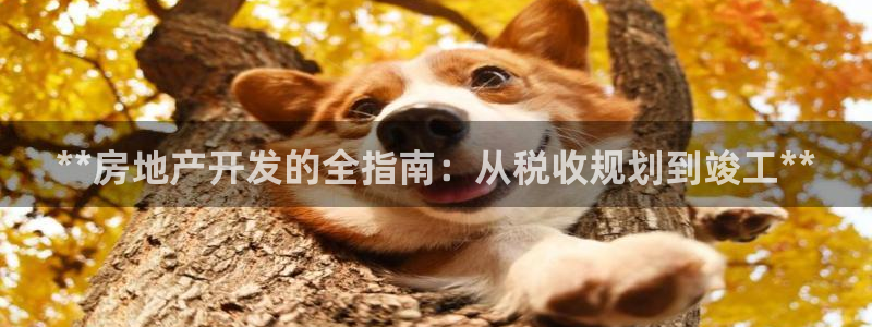 万向娱乐的联系方式是什么