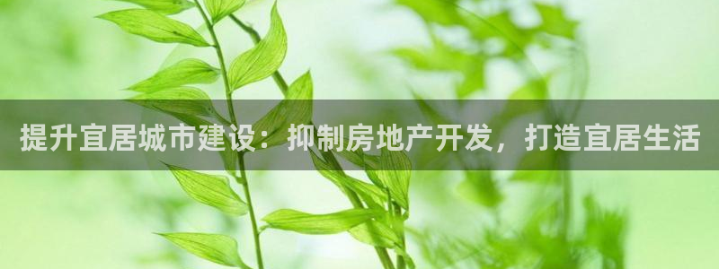 万向娱乐平台代理多少钱一年