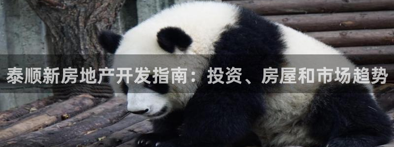万向娱乐下载