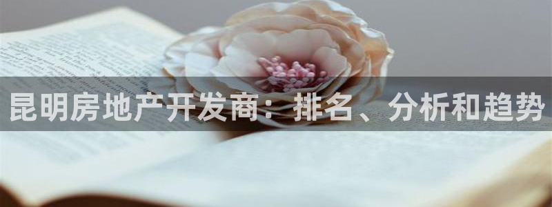 万向娱乐平台代理怎么样啊