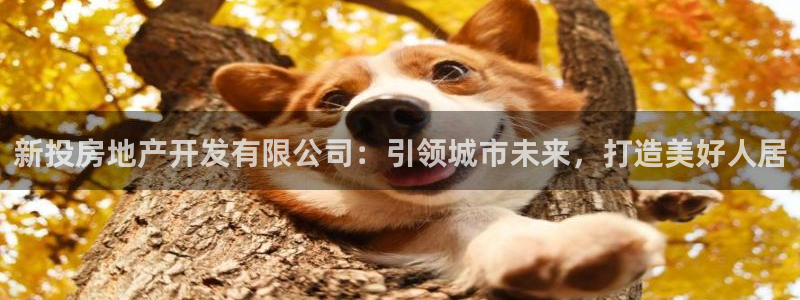 万向娱乐平台提现多久到账
