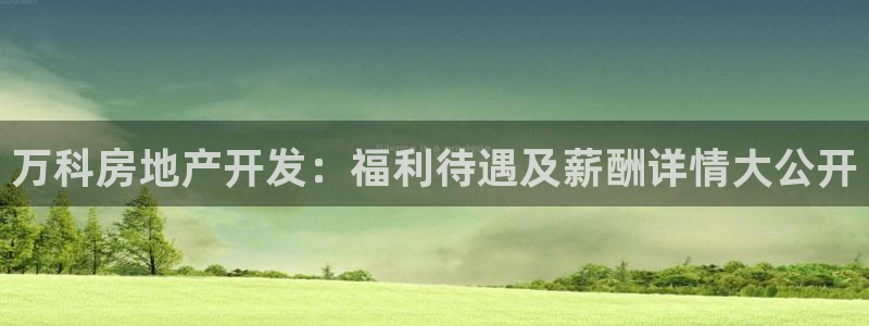 万象游戏代理