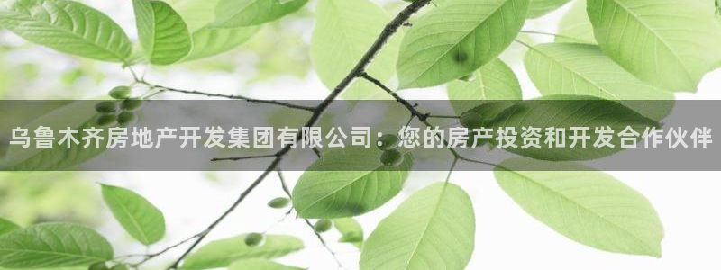 万向娱乐挂机