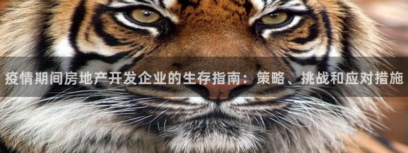 万向娱乐登陆官网