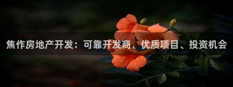 万向娱乐登陆官网入口