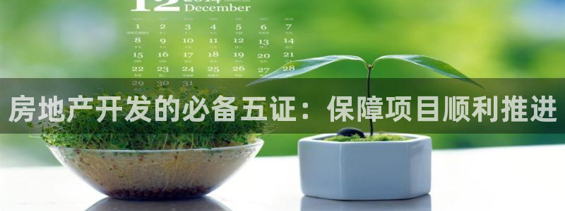 万向娱乐灯333OO