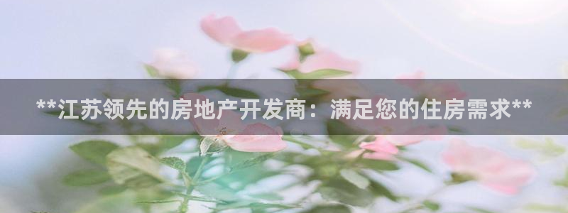 万向娱乐是野鸡台吗