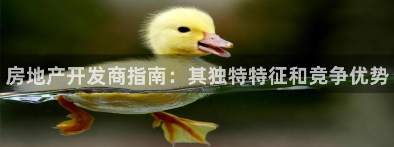 万向娱乐公司官网首页