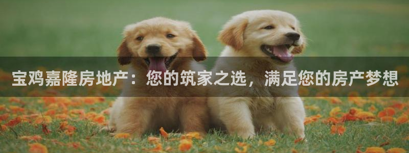 万向娱乐平台代理怎么样啊