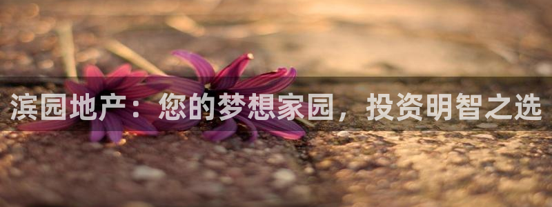 万向娱乐王者荣耀