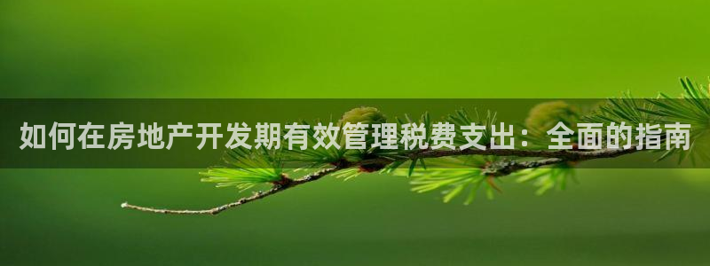万向娱乐平台代理怎么做的