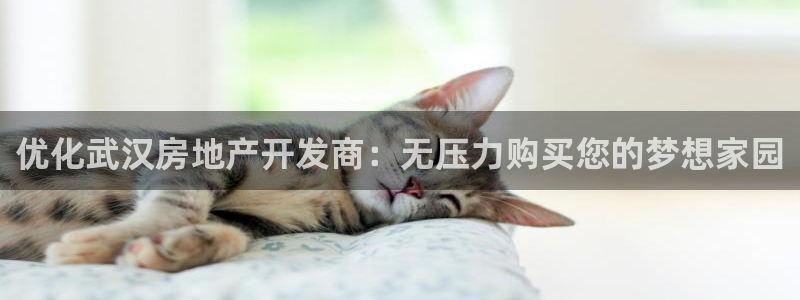 万向娱乐官网首页