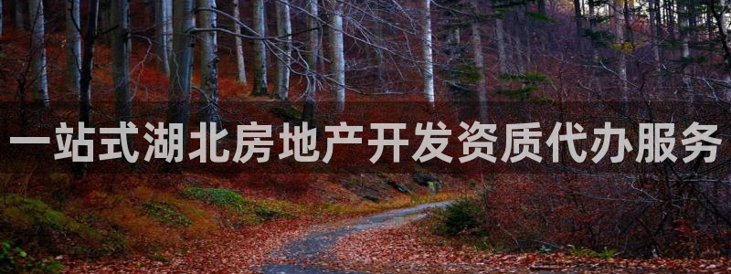 万向娱乐平台代理怎么做的