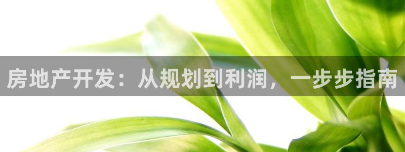 万向娱乐平台代理怎么样可靠吗