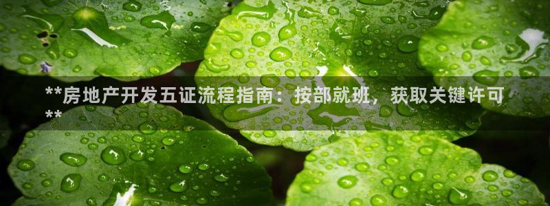 万向娱乐