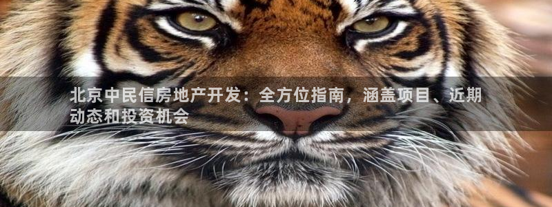 万向娱乐代理好看视频