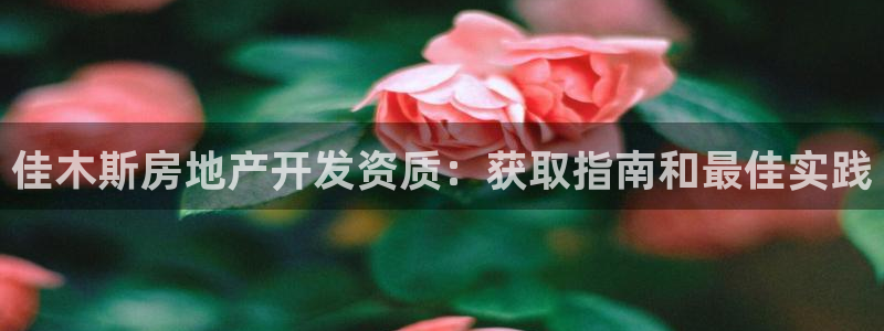 万向娱乐平台代理多少钱一年