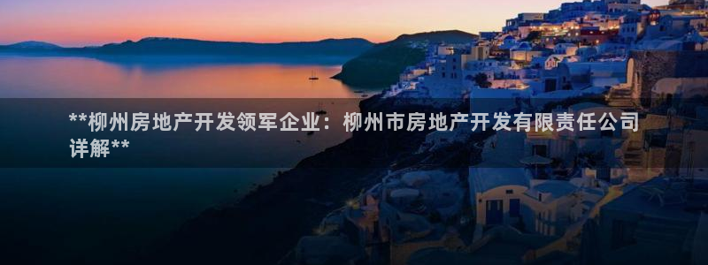 万向娱乐总代