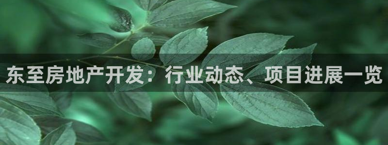 万向娱乐技术