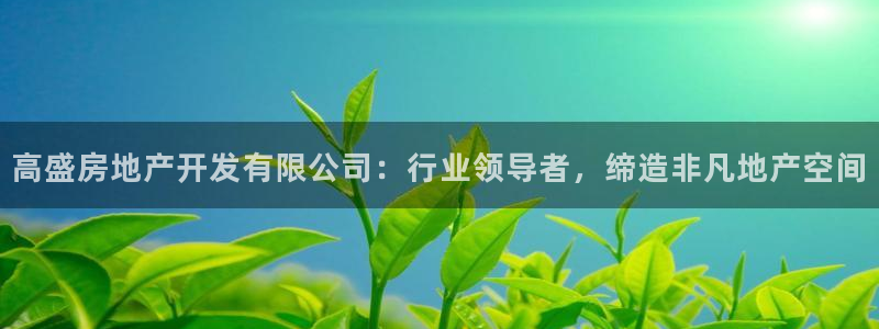 万向娱乐挂机