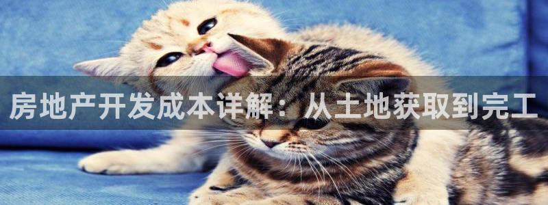 万向娱乐官网下载安装