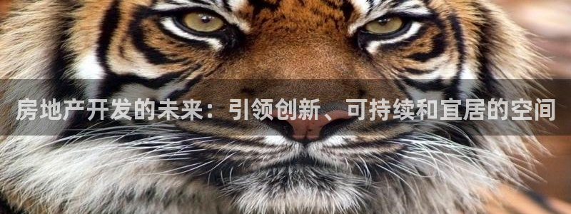 万向娱乐平台代理怎么样啊