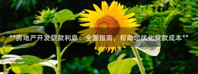 万向娱乐下载安装