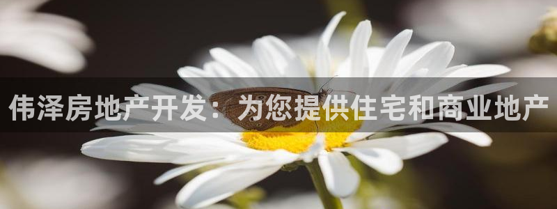 万向娱乐平台代理怎么做
