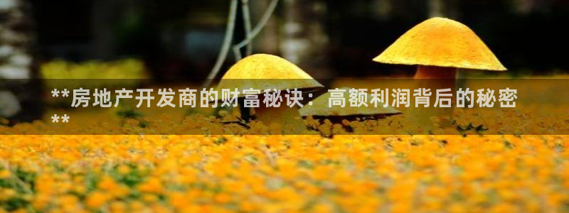 万向娱乐平台代理多少钱一个月