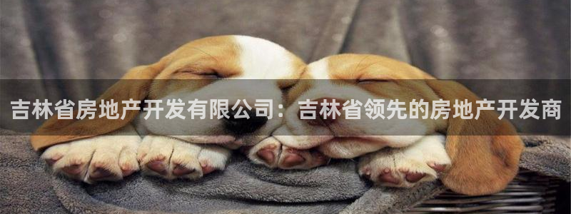 万向娱乐官网